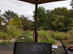 botanic-garden-laptop