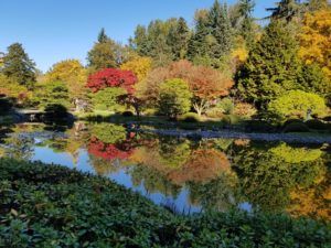 Seattle Japanese Garden